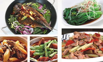 深圳市巴蜀風飲食管理圖冊 餐飲管理的藝術與科學